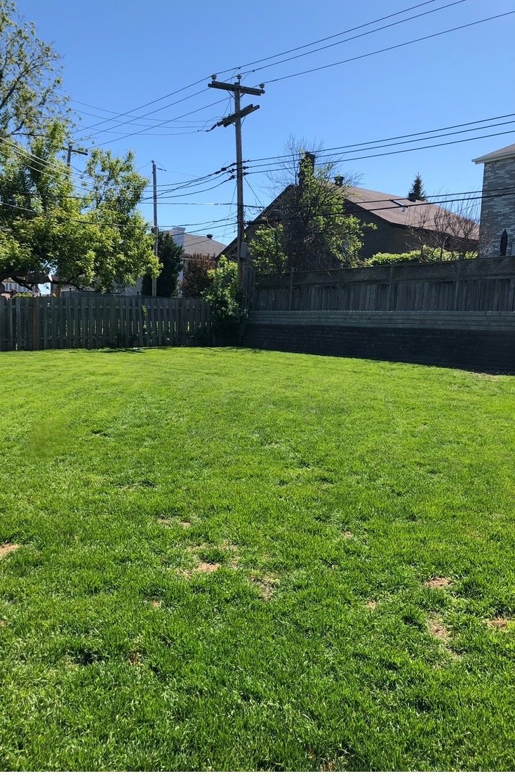 Street view of 242 Rue Autumn Montreal house for sale by Chai Tadmor and Ronit Ziegler